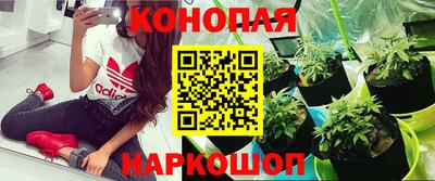 каннабис Ликино-Дулёво