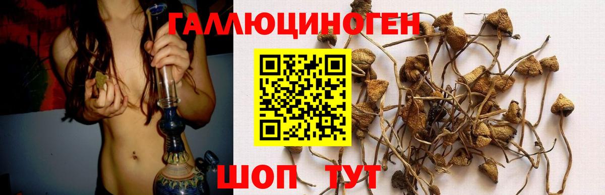 Галлюциногенные грибы GOLDEN TEACHER  Вход с VPN  Горячий Ключ 